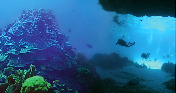 Dive trips to the east